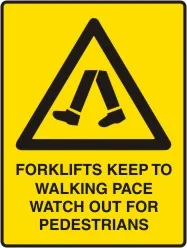 W 246 — WATCH OUT FOR PEDESTRIANS